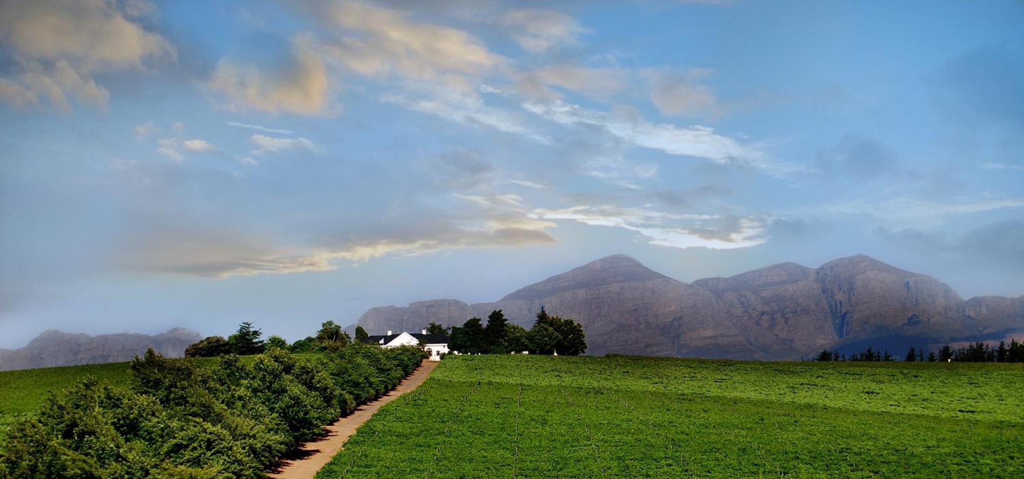 Bakenhof Winelands Lodge Paarl Esterno foto