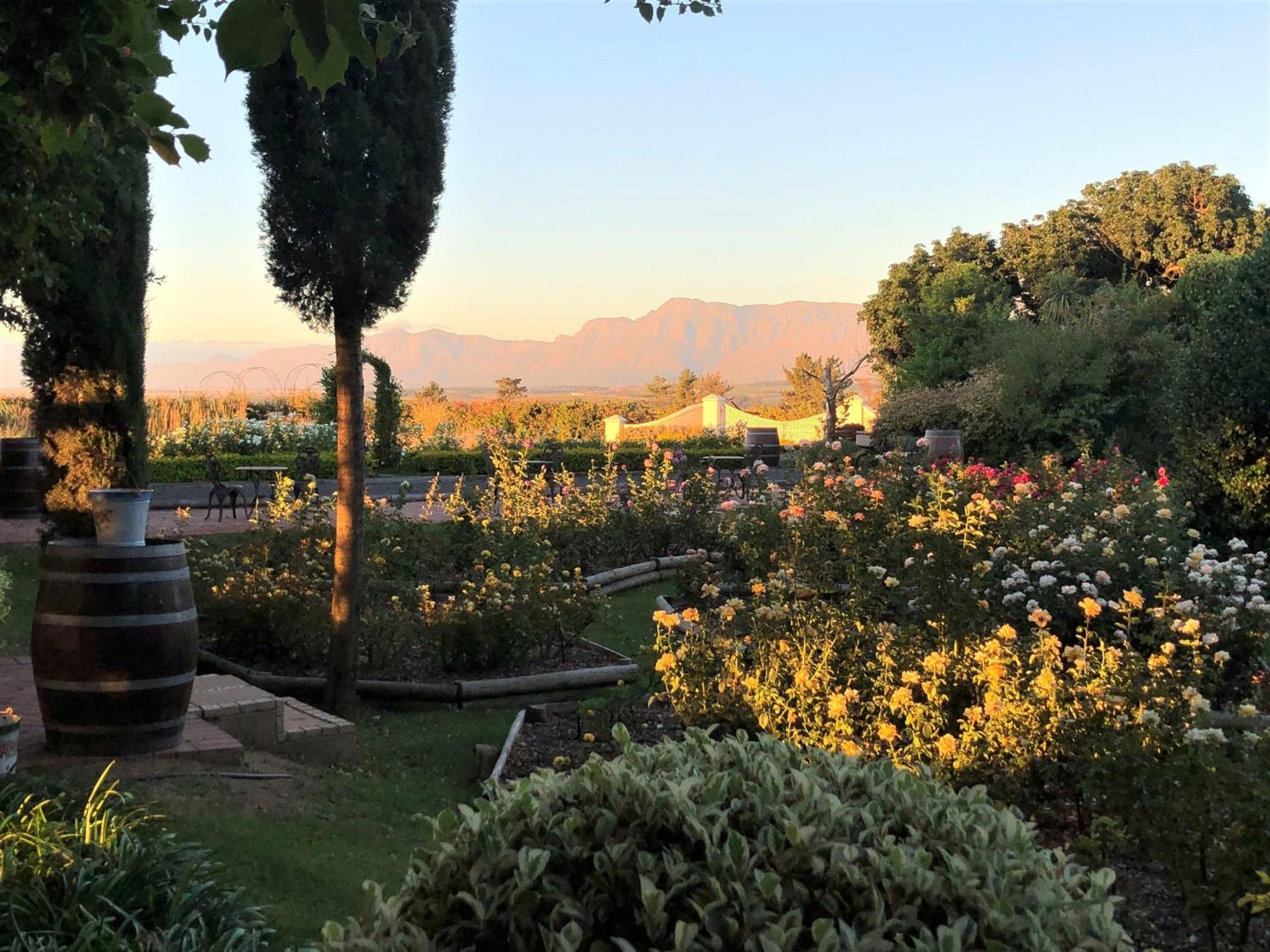 Bakenhof Winelands Lodge Paarl Esterno foto